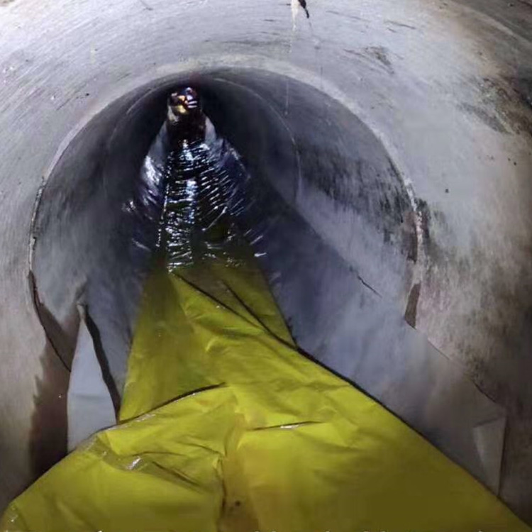 秀屿管道光固化修复